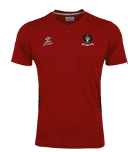 Dartfordians CC T20 short sleeve shirt