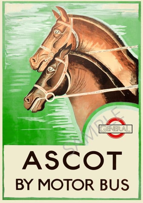Ascot by Motor Bus Horses