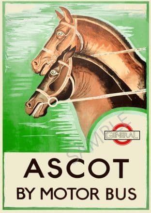 Ascot by Motor Bus Horses
