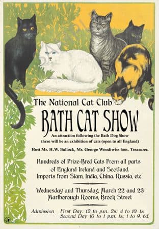 Bath Cat Show March 1893 National Cat Club
