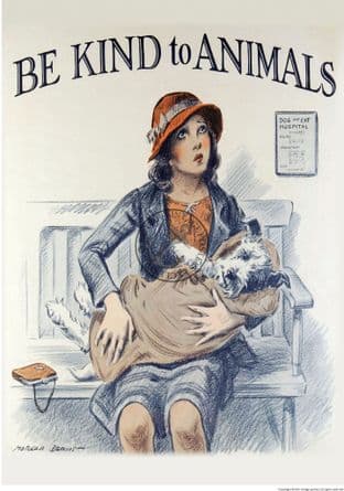 Be Kind to Animals - Girl with Dog