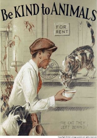 Be Kind to Animals 'The Cat they left behind' Poster