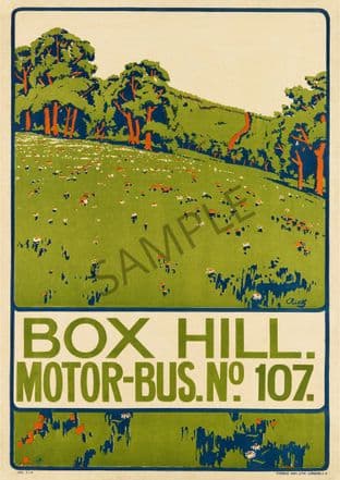 Box Hill North Downs Surrey