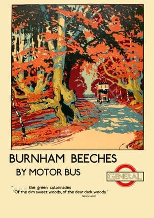 Burnham Beeches by motor bus