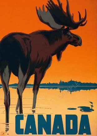 Canada Moose