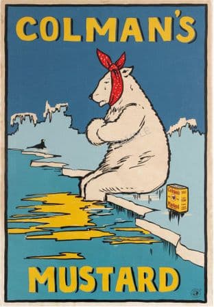 Colman's Mustard - Polar Bear