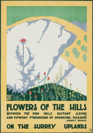 Flowers of the Hillside Edward McKnight Kauffer London Transport