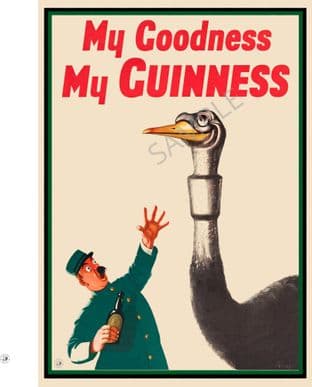 Guinness Beer Advert Ostrich Portrait