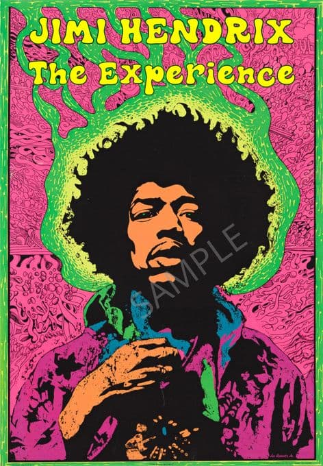 Jimi Hendrix the Experience