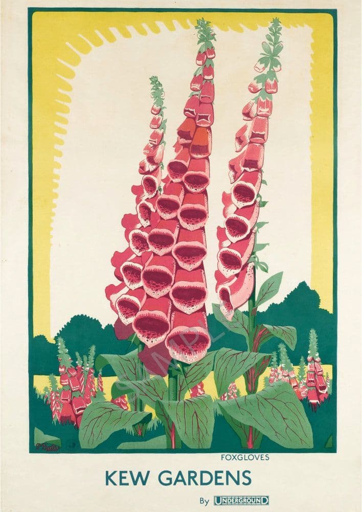 Kew Garden Zip Code at Jamie Heyne blog