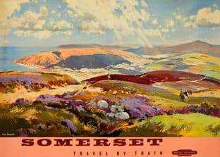 Somerset moors