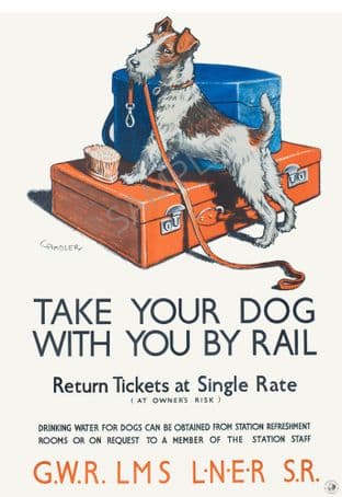 Take Your Dog with You By Rail GWR LMS LNER SR