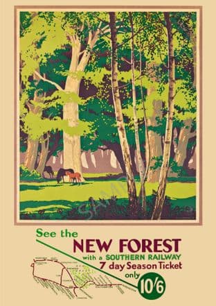 The New Forest Southern Railway