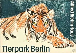 Tierpark Zoo Berlin tiger Zieger 1964