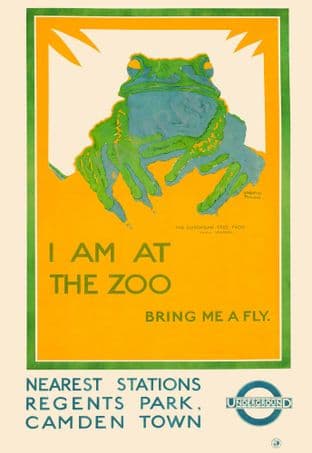 Tree Frog Zoo Poster Bring Me A Fly Regents Park Camden Town