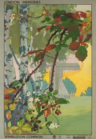 Wimbledon Common London Memories