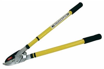 0.9 Metre Telescopic Ratchet Bypass Tree & Branch Lopper Pruner Tool Heavy Duty