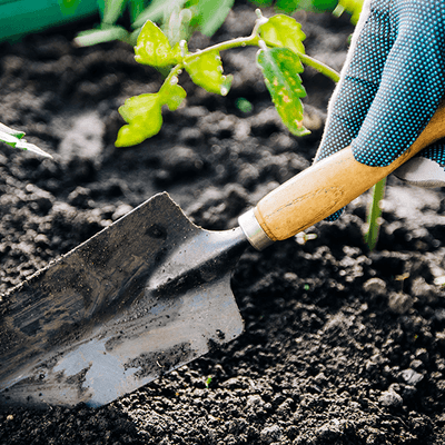 Hoes Rakes And Trowels