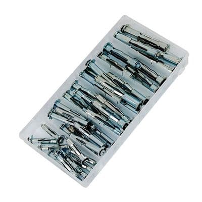Molly Bolt 40pc Assortment Box Short & Long Anchor Bolts