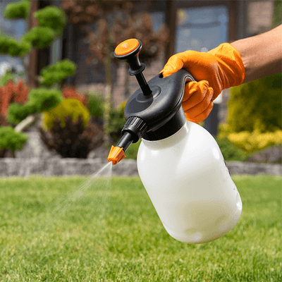 Pumping And Spraying