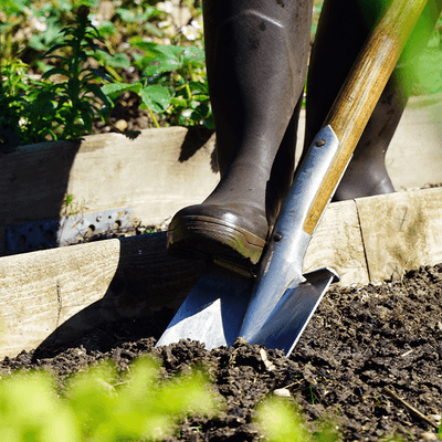 Shovels Spades & Forks