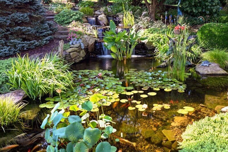 Energy Efficient Pond Pumps: How to Cut Running Costs Without Compromising Your Pond