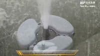 Floating Tree Water Feature Pump