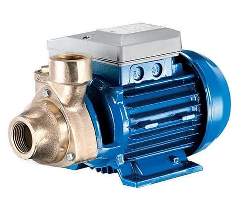 PE PB GP Bronze & Stainless Steel Surface Mounted Pump