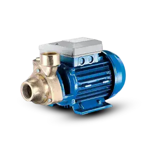 Surface Mounted Pump
