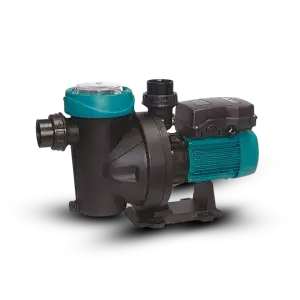 Swimming Pool Pumps