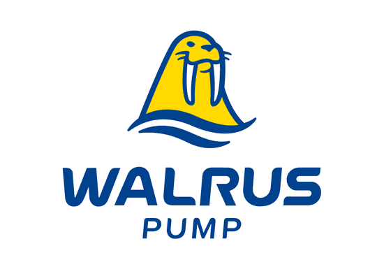 Walrus