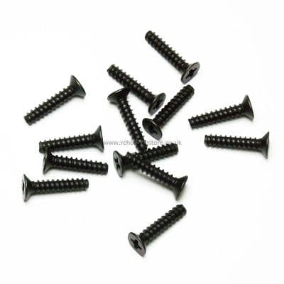 HSP 02088 3*14 Countersunk Self Tap Screw 13 pcs.