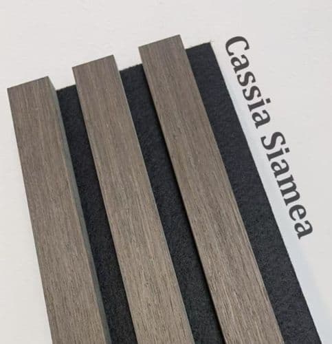 Acoustic Wall Panel - Cassa Siamea 2400mm x 600mm x 21mm