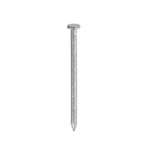 Galv Round Wire Nails - (500g Bag)
