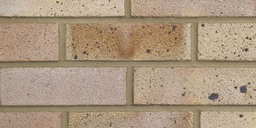 L.B.C Dapplelight Best Quality