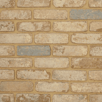Sika MaxMix® Powder Mortar Tone Buff 1 kg