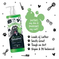 Aloe & Kiwi Soothing Dog Shampoo