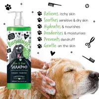 Aloe & Kiwi Soothing Dog Shampoo