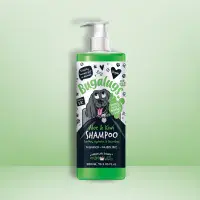 Aloe & Kiwi Soothing Dog Shampoo