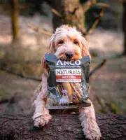 Anco Naturals - Bully Sticks - 100g