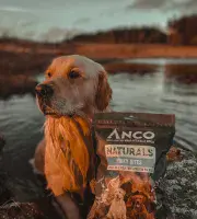 Anco Naturals - Porky Bites - 250g