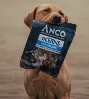Anco Oceans - Fish Skin Cubes - 100g