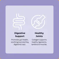 Axels Elixir - Beefy Buffalo Bone Broth