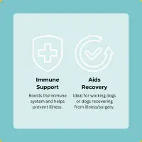 Axels Elixir - Goat Bone Broth