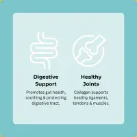 Axels Elixir - Goat Bone Broth