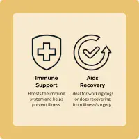 Axels Elixir - Turkey Bone Broth