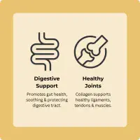 Axels Elixir - Turkey Bone Broth