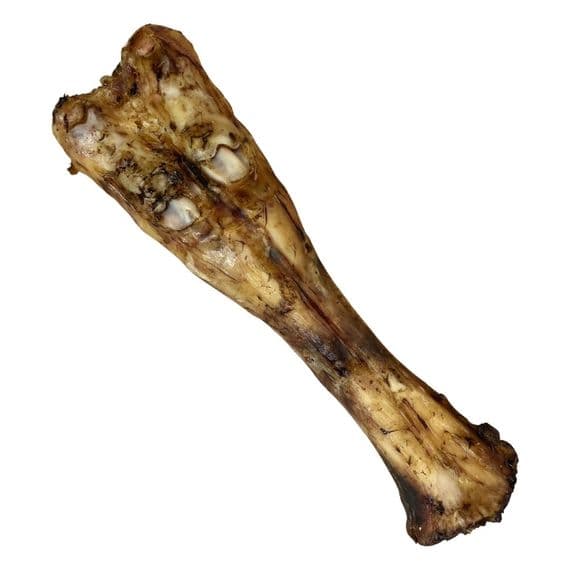 Beef Leg Bone
