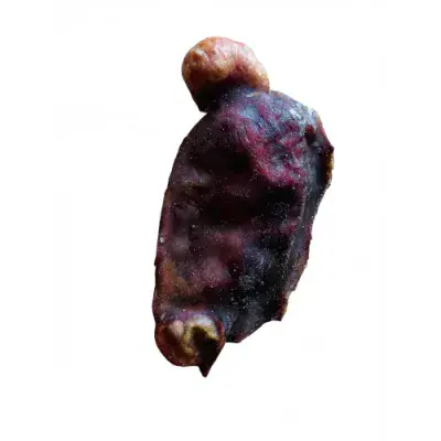 Beef Testicle