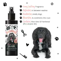 Bugalugs - Papaya & Coconut Dog Cologne